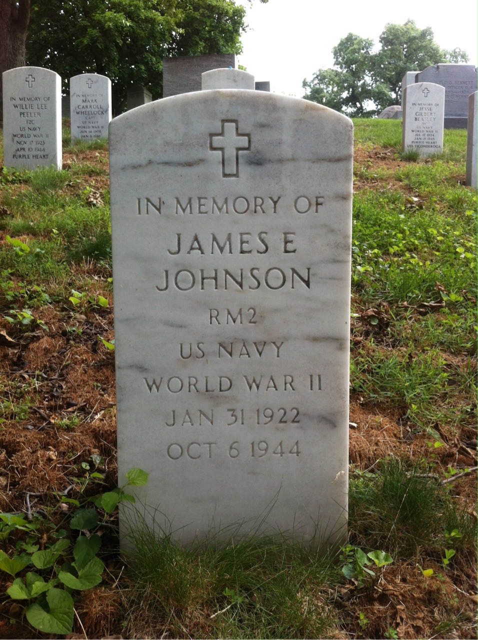 James L Johnson