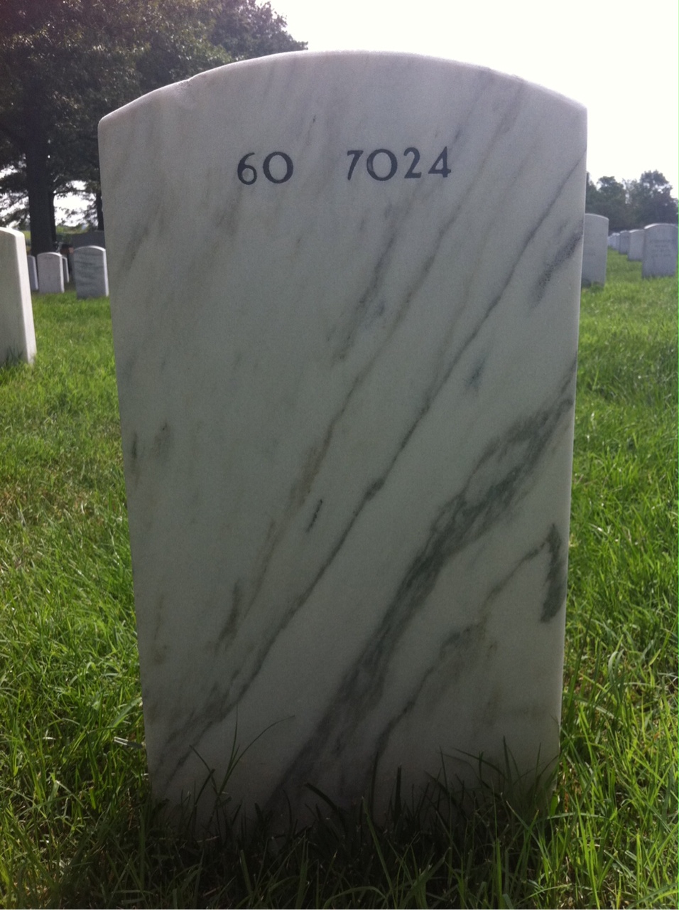 Back of headstone — Frank Viney