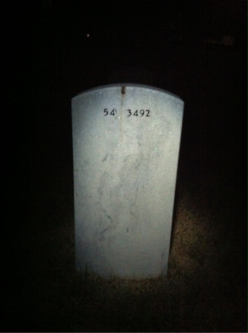 Back of headstone — Sidney Stein