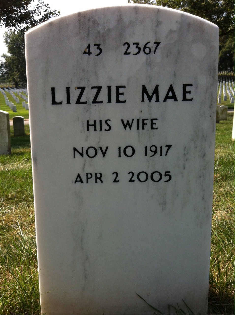 Back of headstone — Robert Higgs