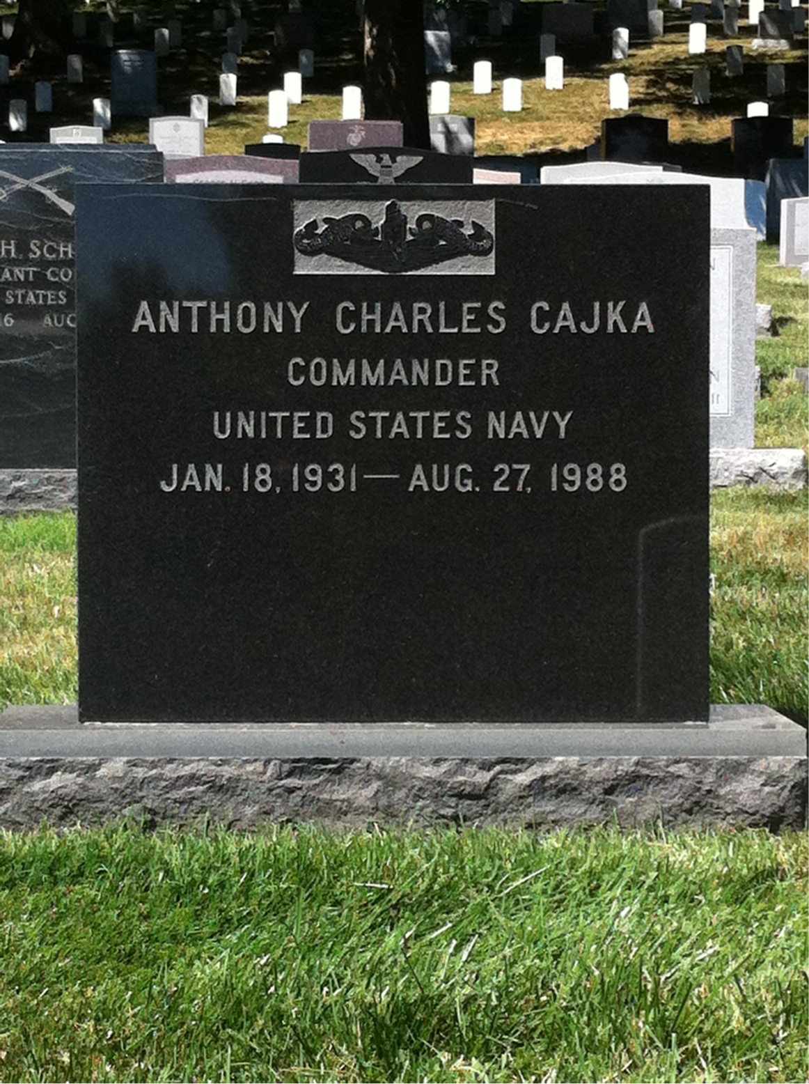 Anthony C Cajka
