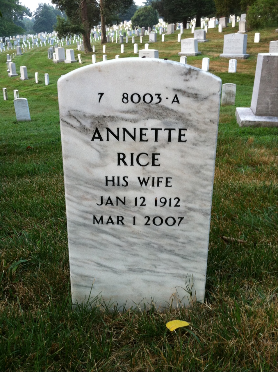 Back of headstone — William Conley