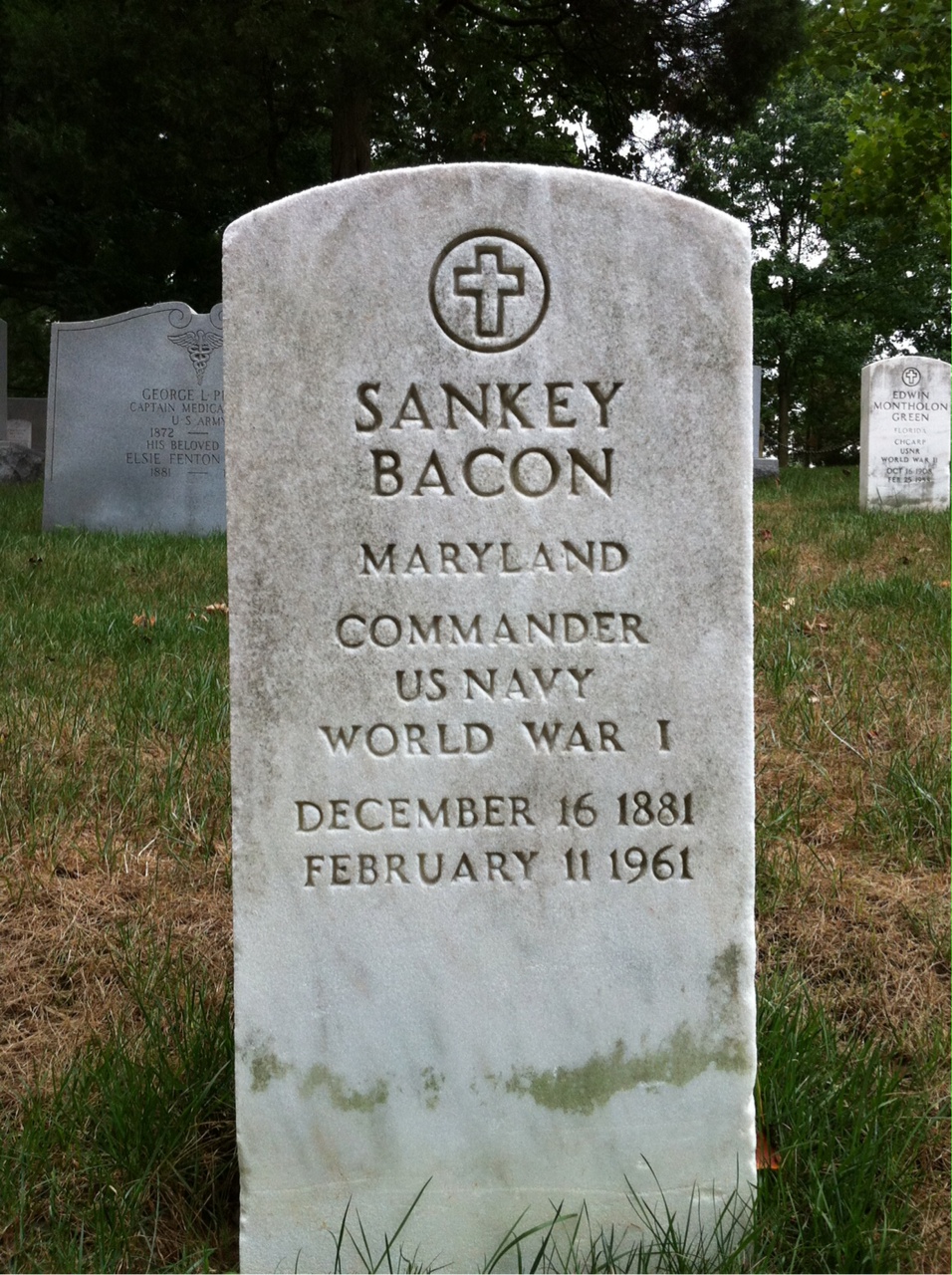 Sankey Bacon