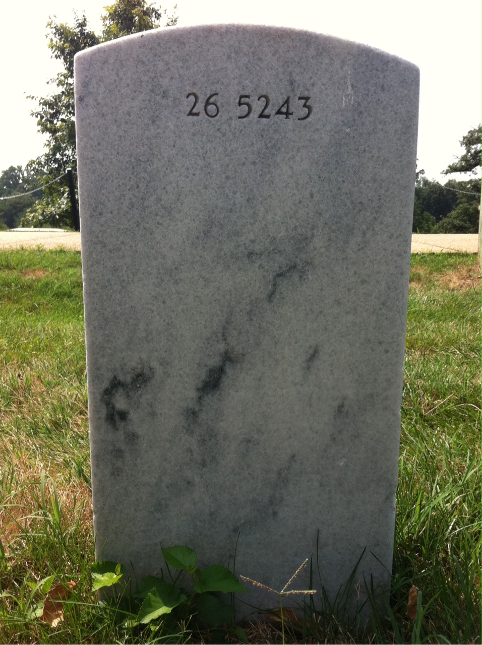Back of headstone — David Apple