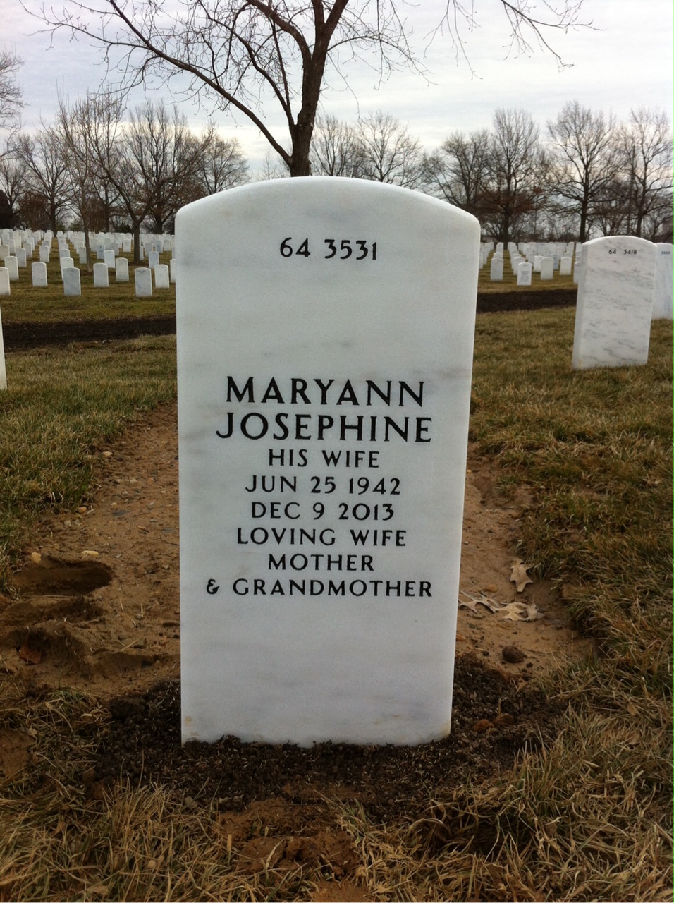 Back of headstone — Joseph Arena