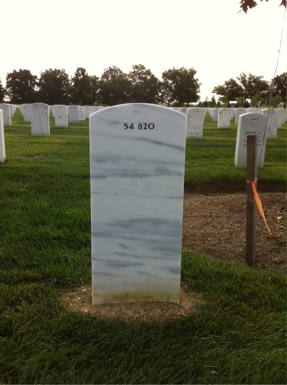 Back of headstone — William Warren Maynes