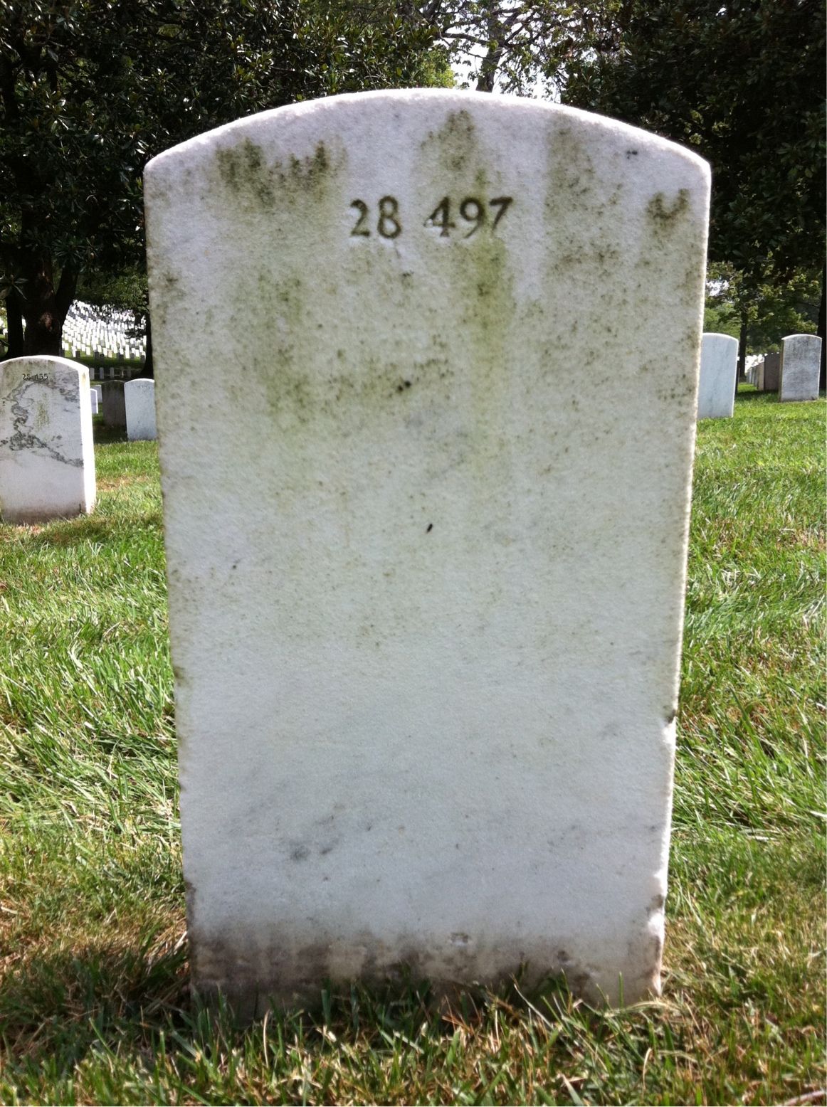 Back of headstone — Walter J Hopkins