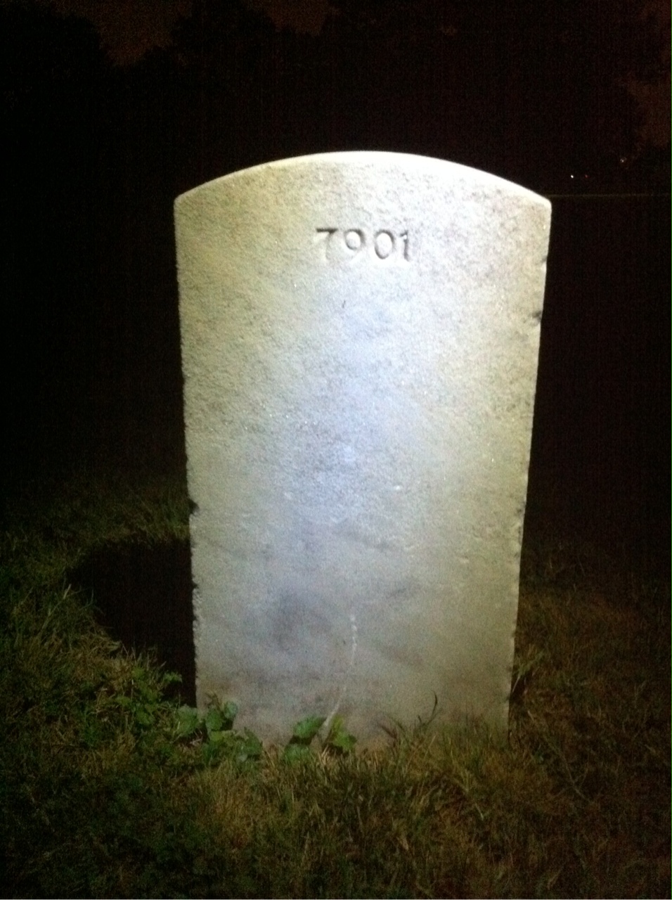 Back of headstone — Wilford Bailey
