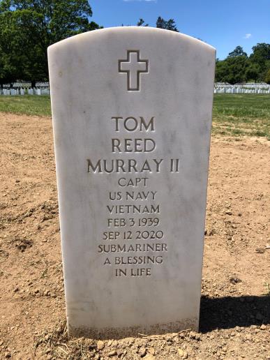 Tom Murray