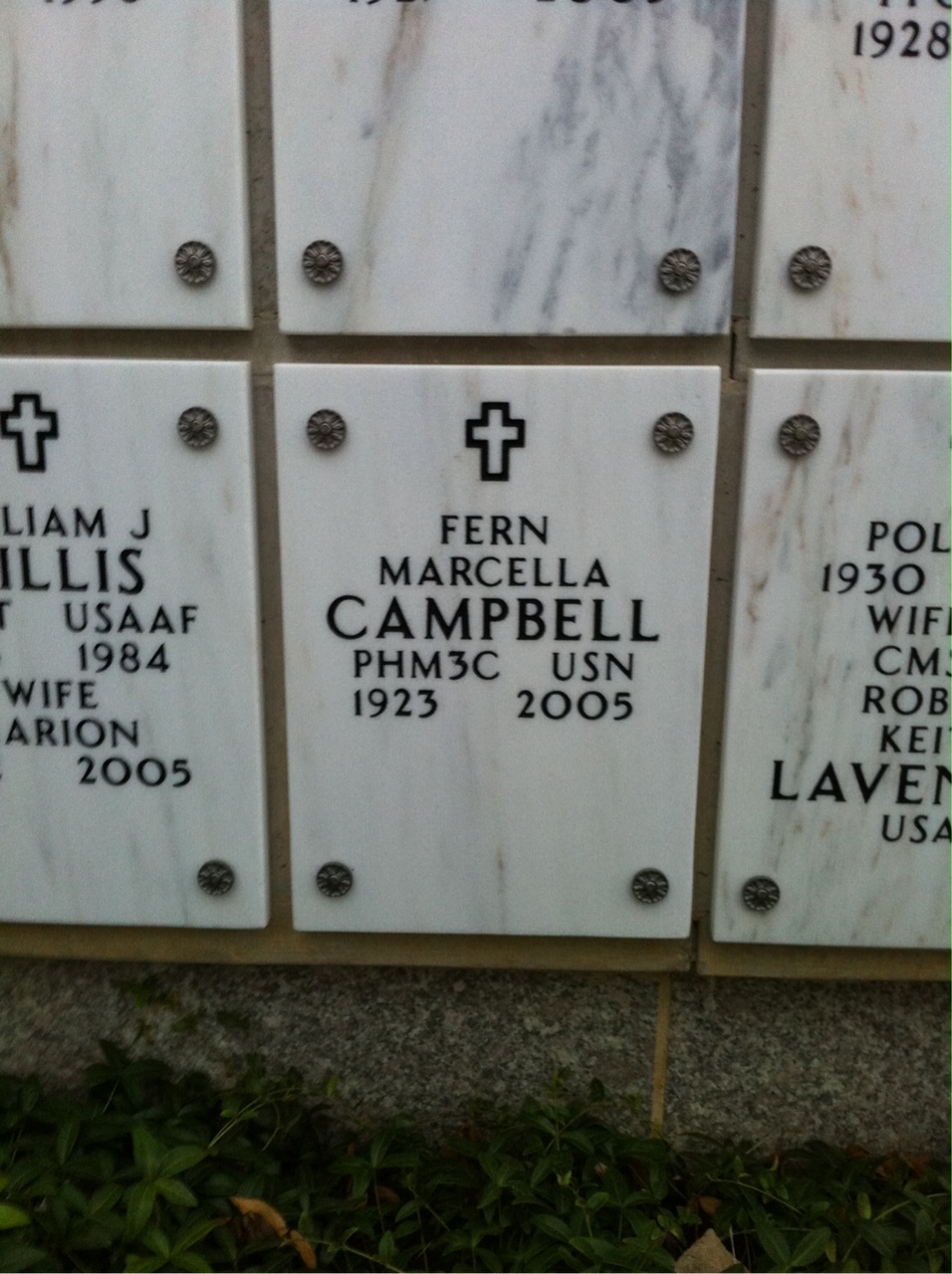Fern Campbell