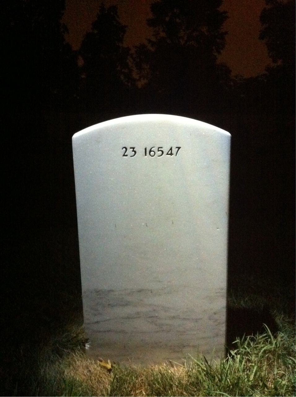 Headstone of Henry Johnson