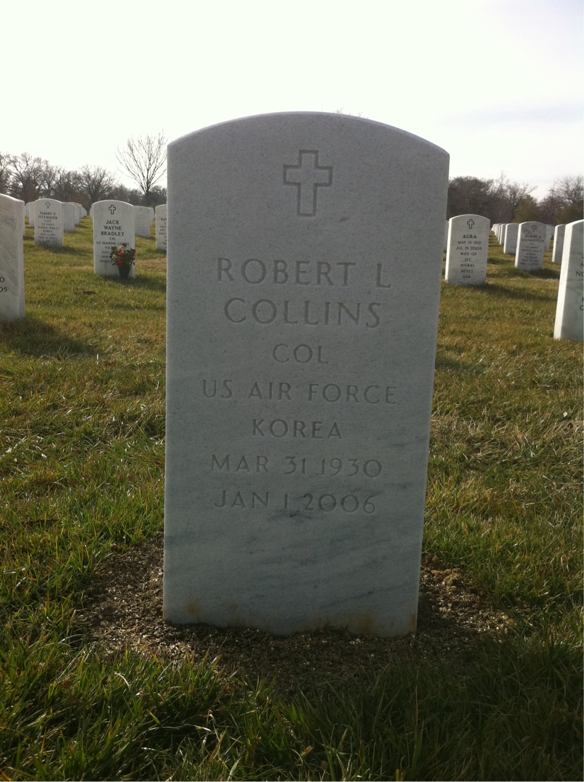 Robert Collins