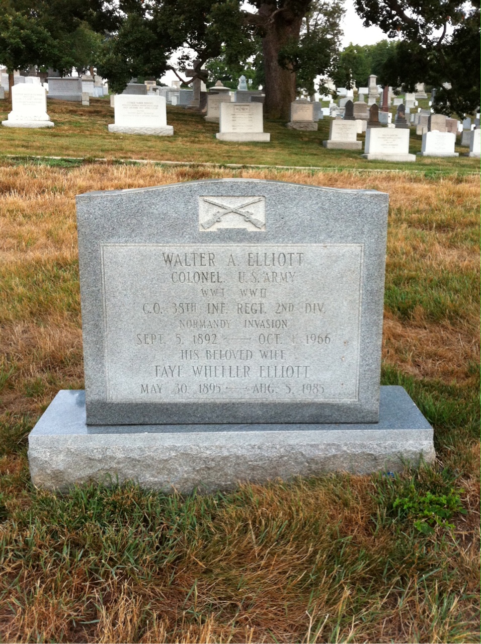 Walter Alfred Elliott