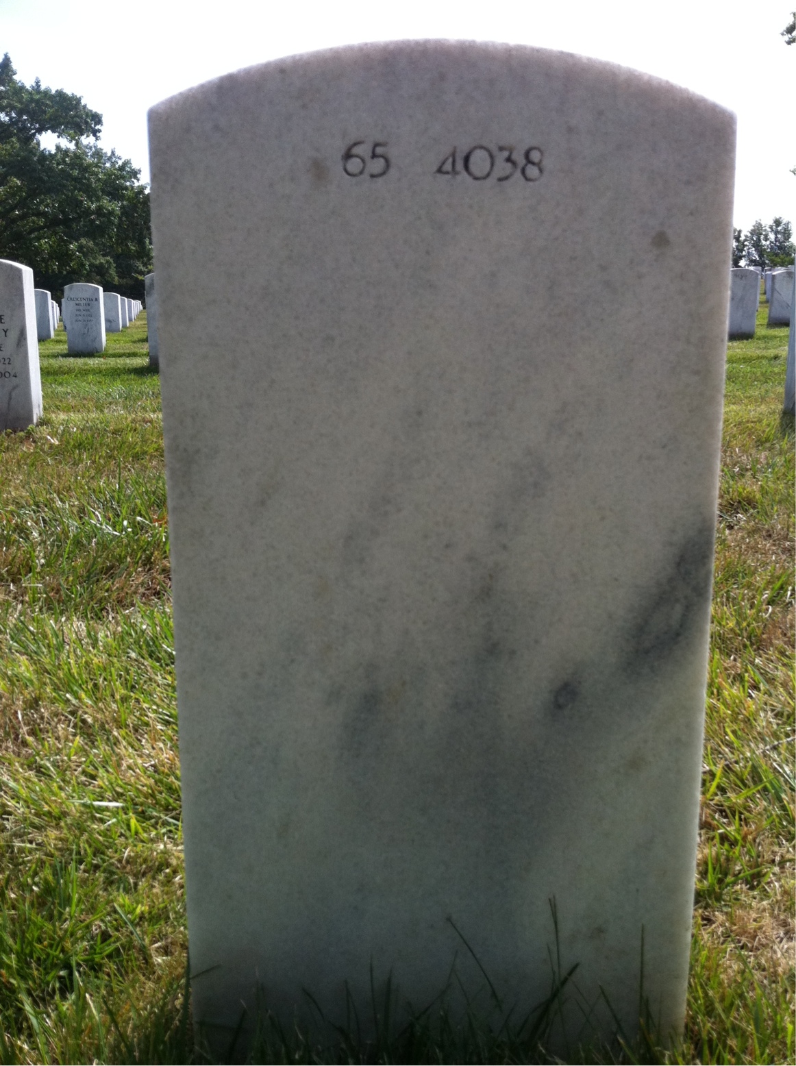 Back of headstone — Alfred Wilkinson