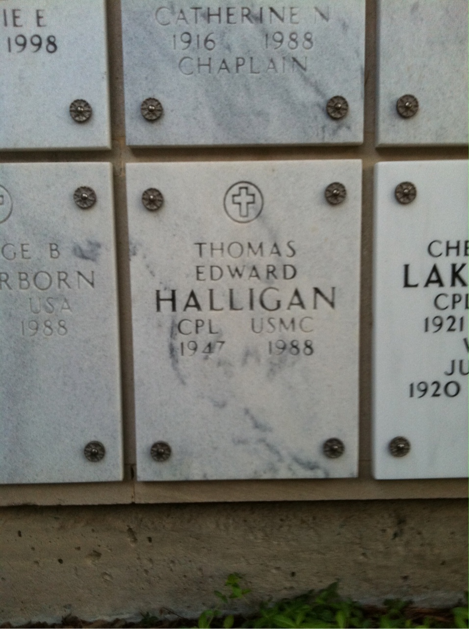 Thomas E Halligan