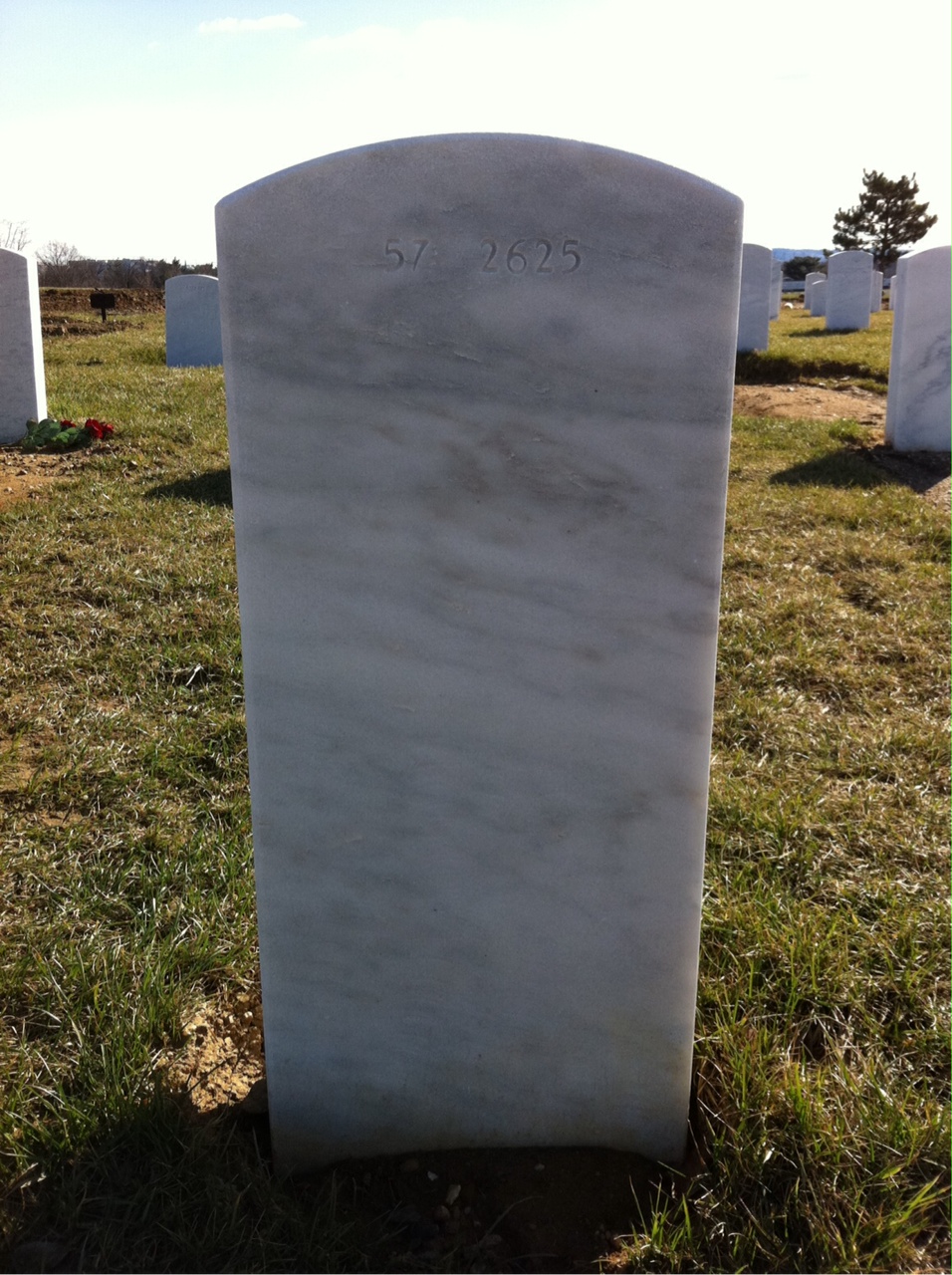 Back of headstone — Thomas Thadeus Cole