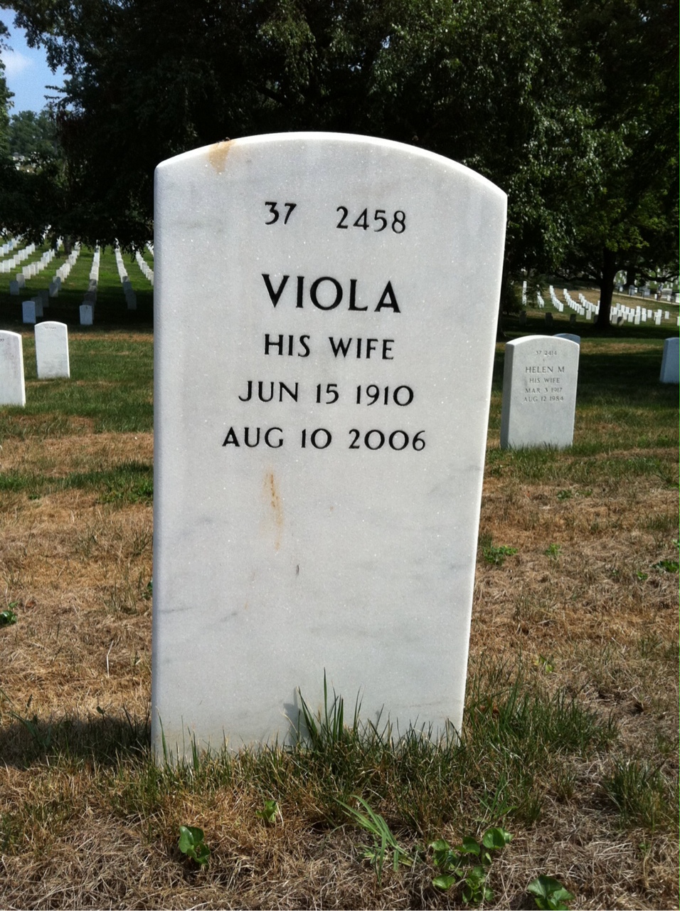 Back of headstone — William Alexander