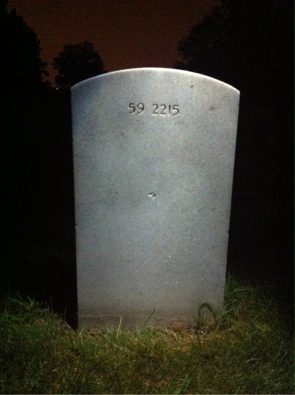 Back of headstone — Sherman Ray Coleman