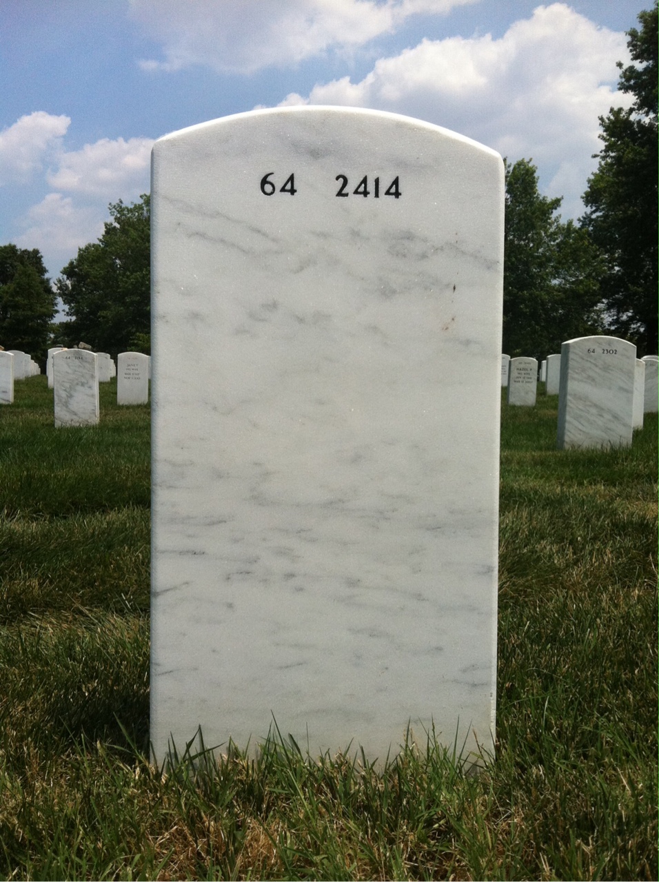 Back of headstone — William Grant Stepp