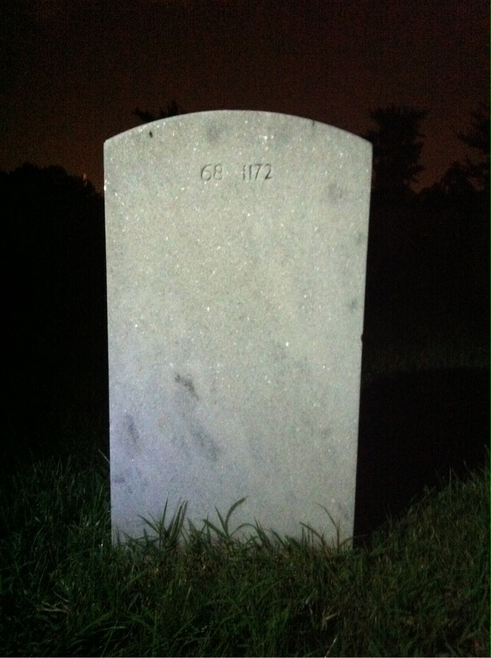 Back of headstone — Theodore Aldrich