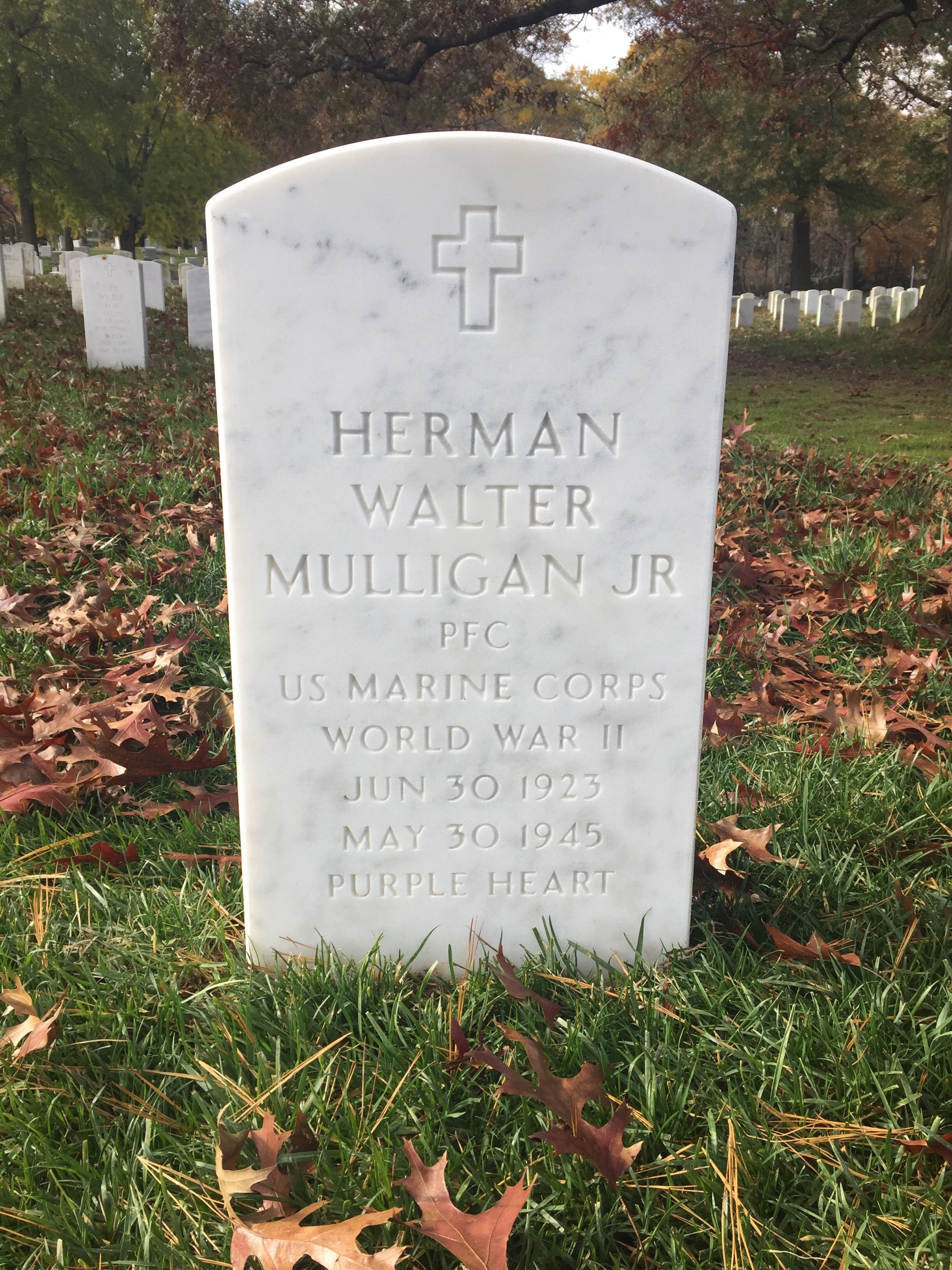 Herman Mulligan