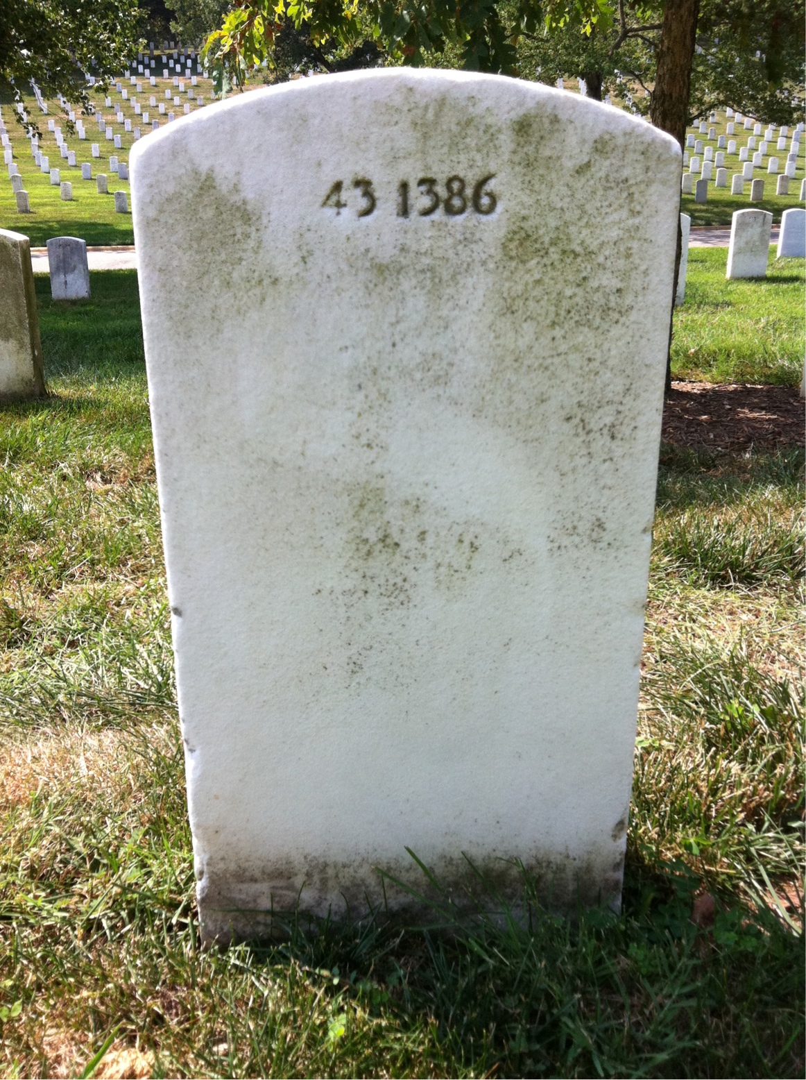 Back of headstone — Merton Morris