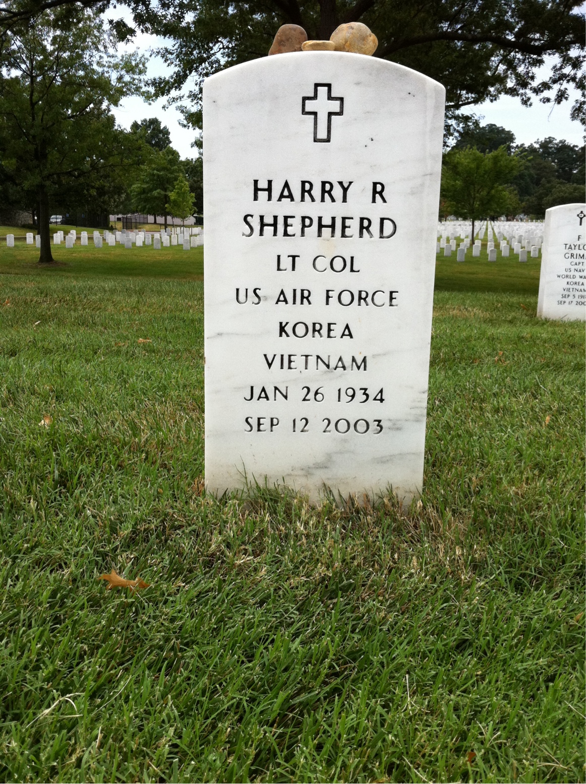 Harry Shepherd