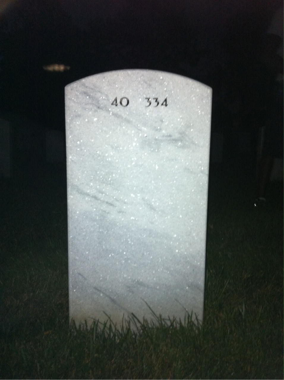Back of headstone — Fred Ong