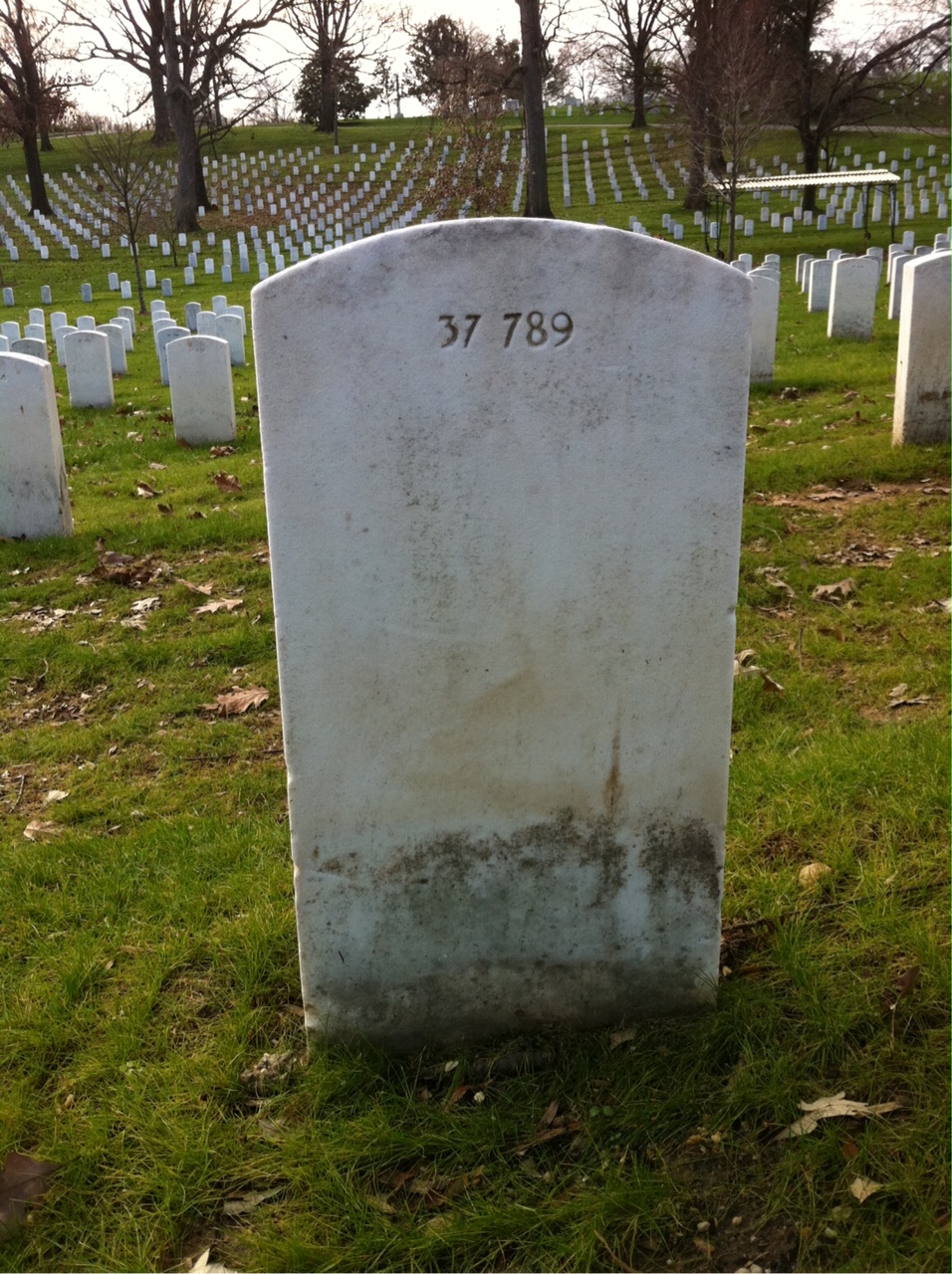 Back of headstone — Richard Burton Bradley