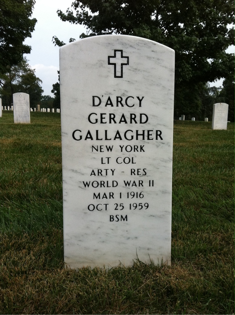 D'Arcy Gallagher