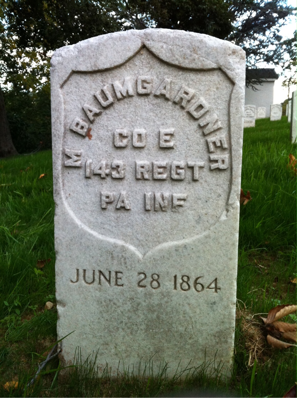 M Baumgardner