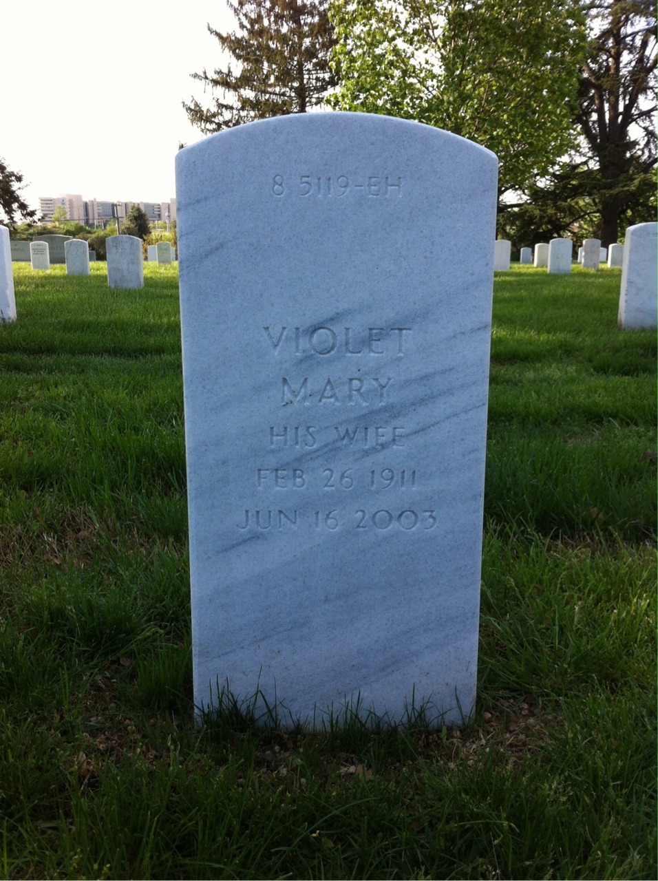 Back of headstone — Harold Janura