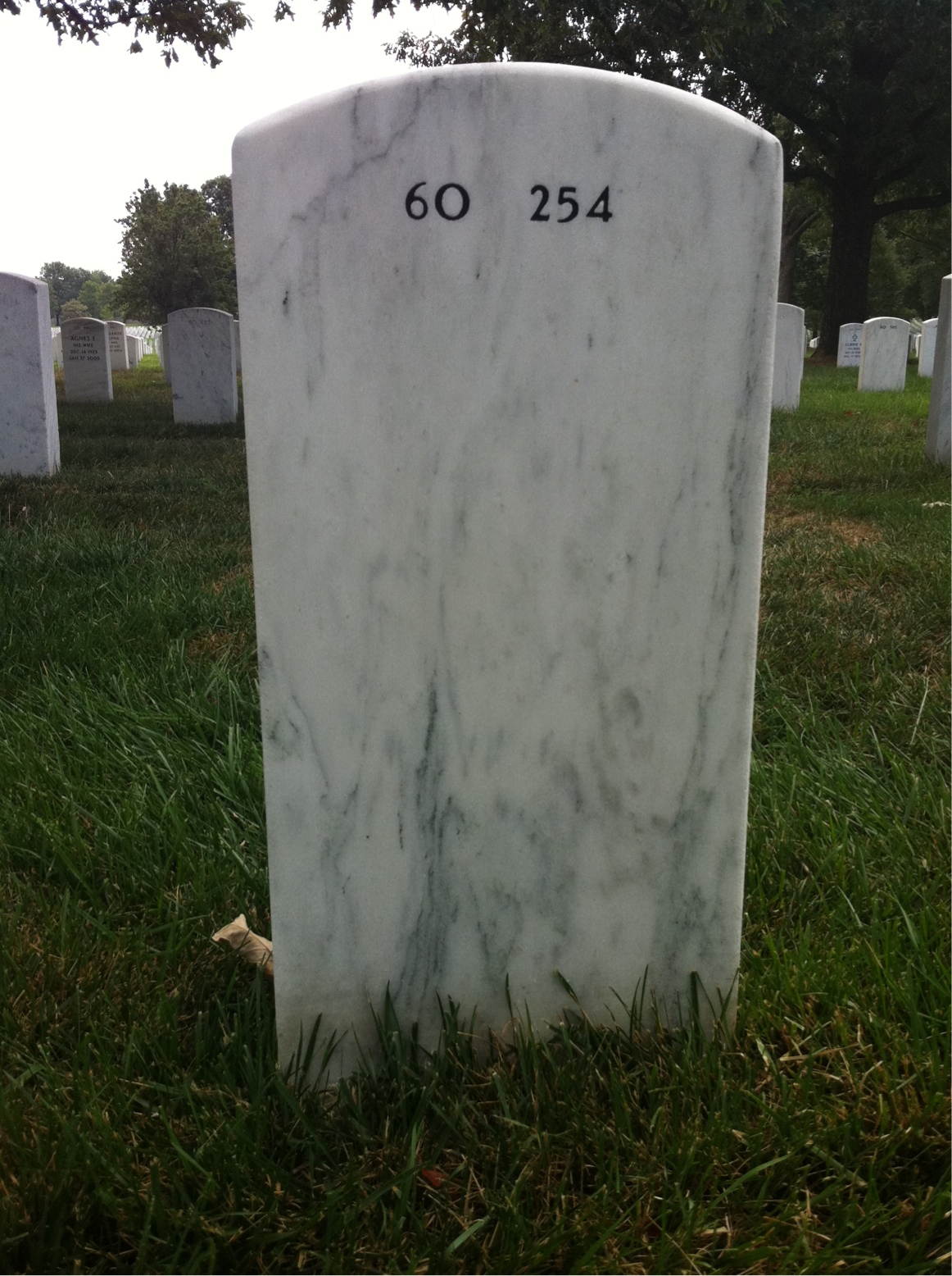 Back of headstone — Theodore Schweider