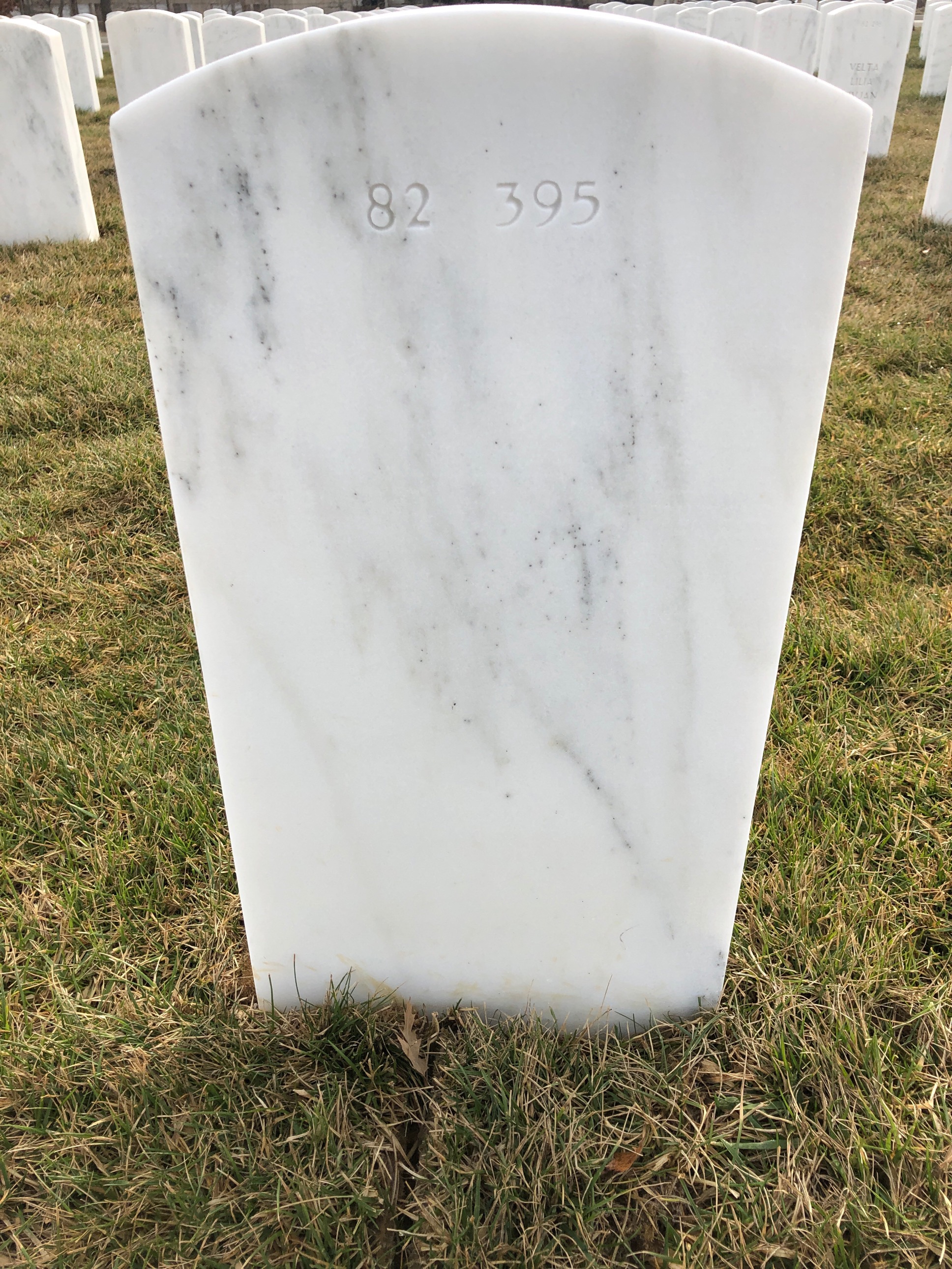 Back of headstone — William Daniel Steger
