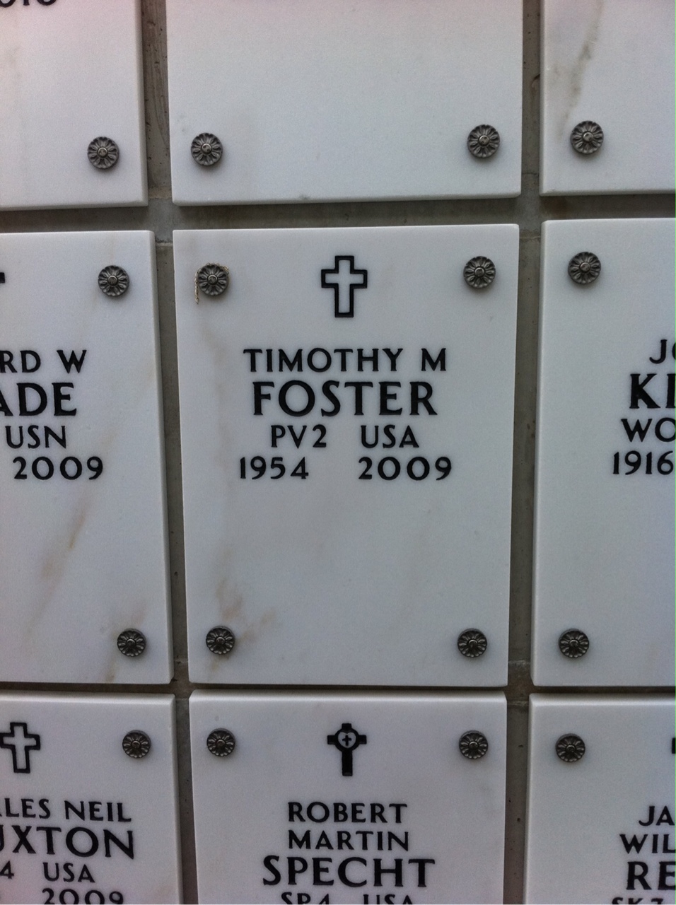 Timothy M Foster