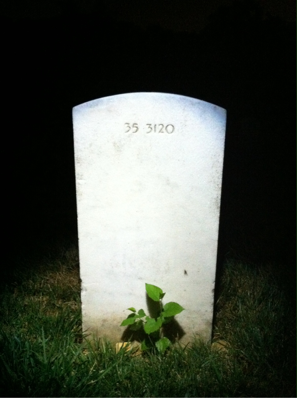 Back of headstone — William Garrett Foster