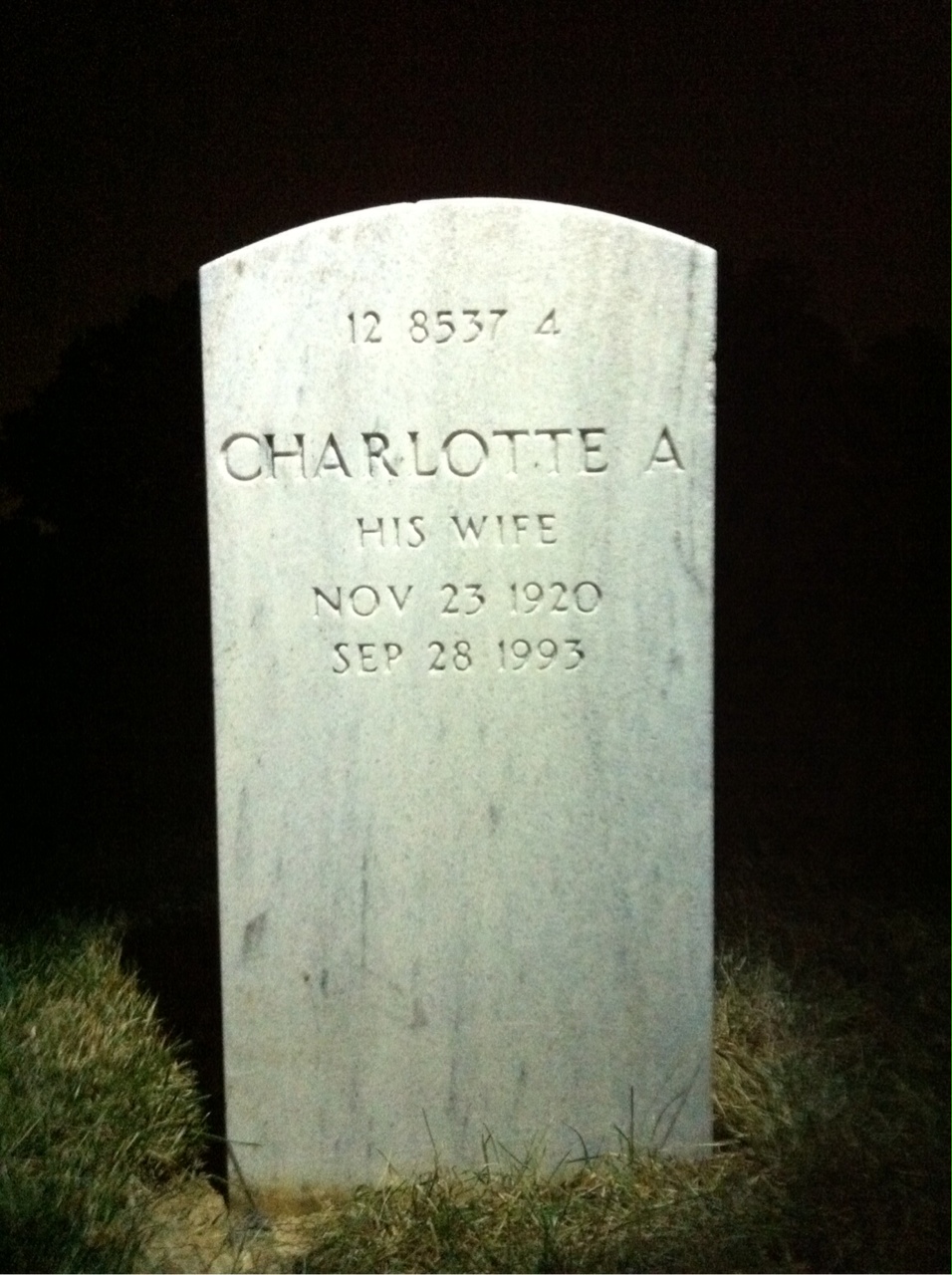 Back of headstone — Albert Allen