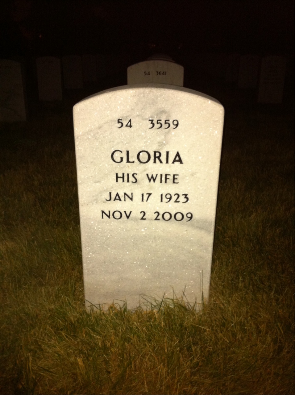 Back of headstone — Warren Morgan