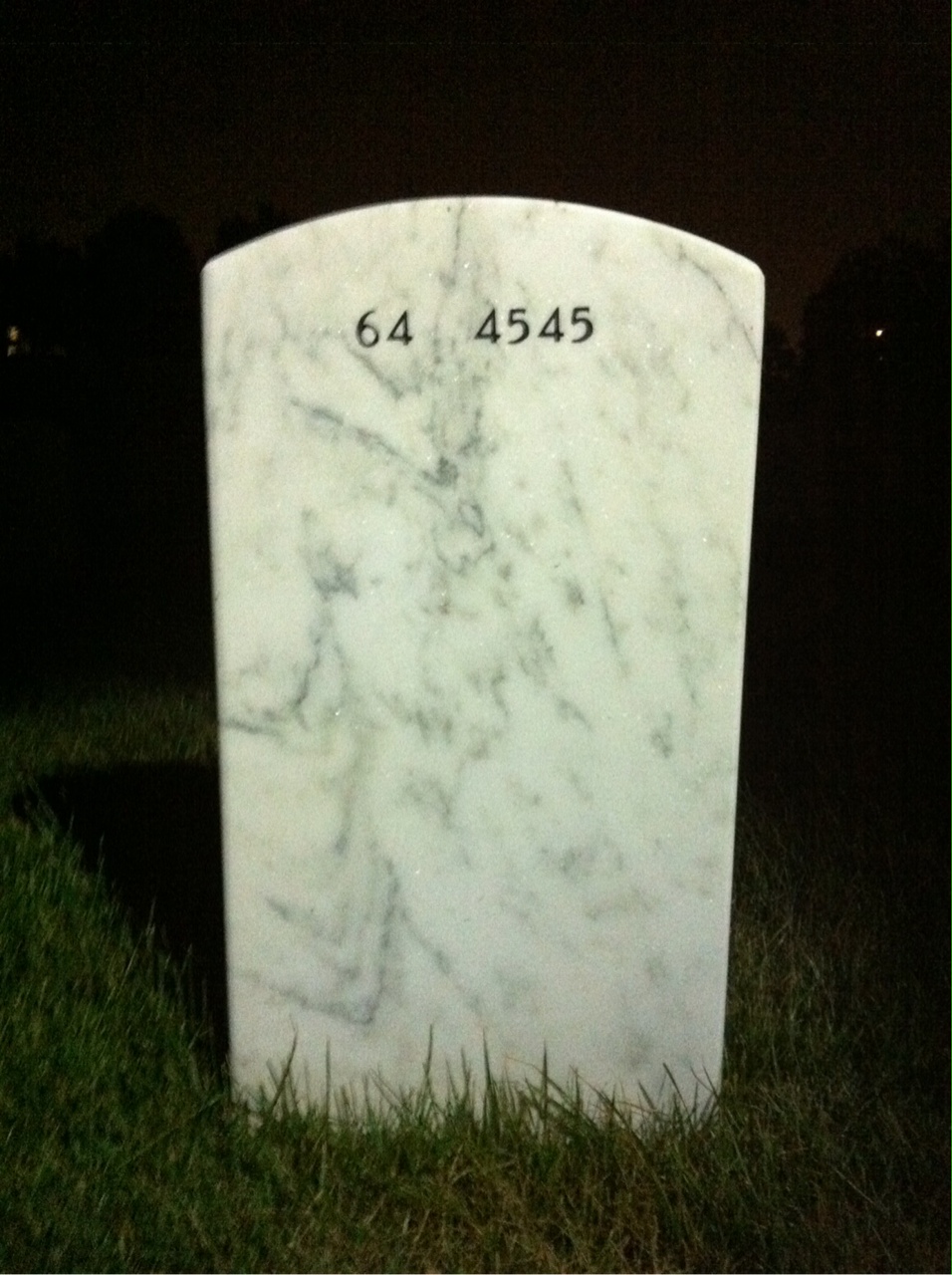Back of headstone — Fernando Depierris