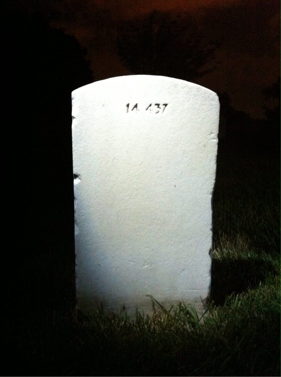 Back of headstone — Adam Muir