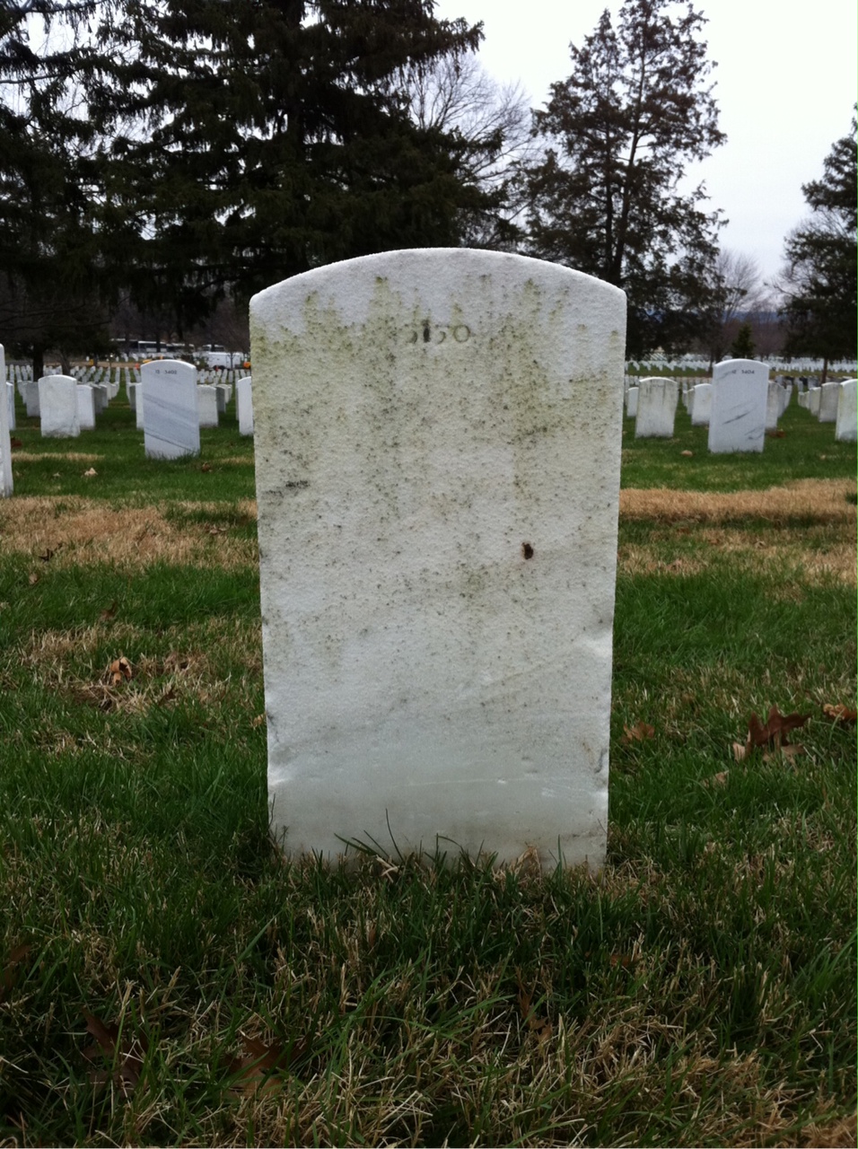 Back of headstone — Stanley Ball