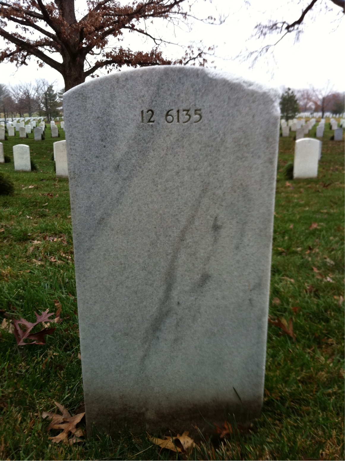 Back of headstone — Willie Moore