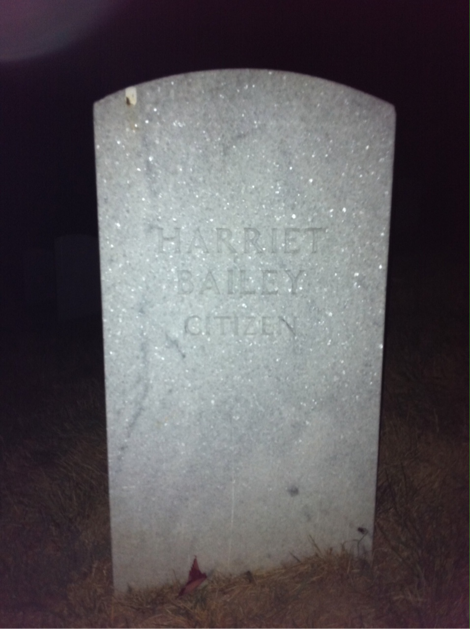 Harriet Bailey