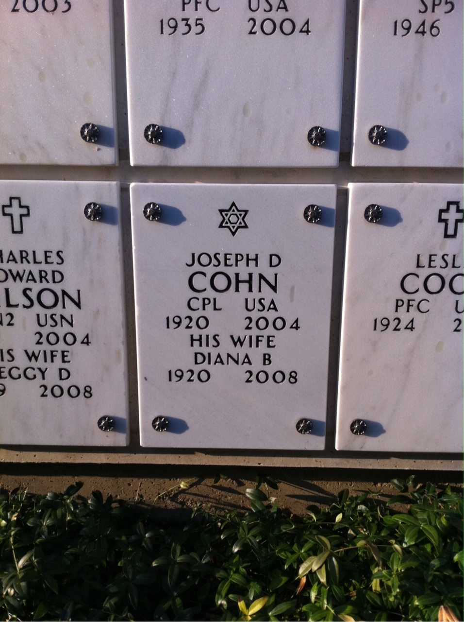 Joseph Cohn