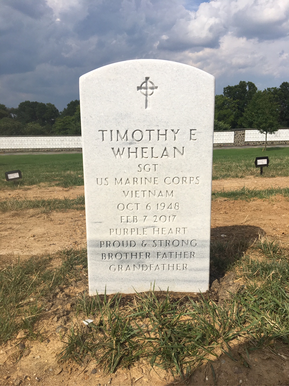 Timothy E Whelan