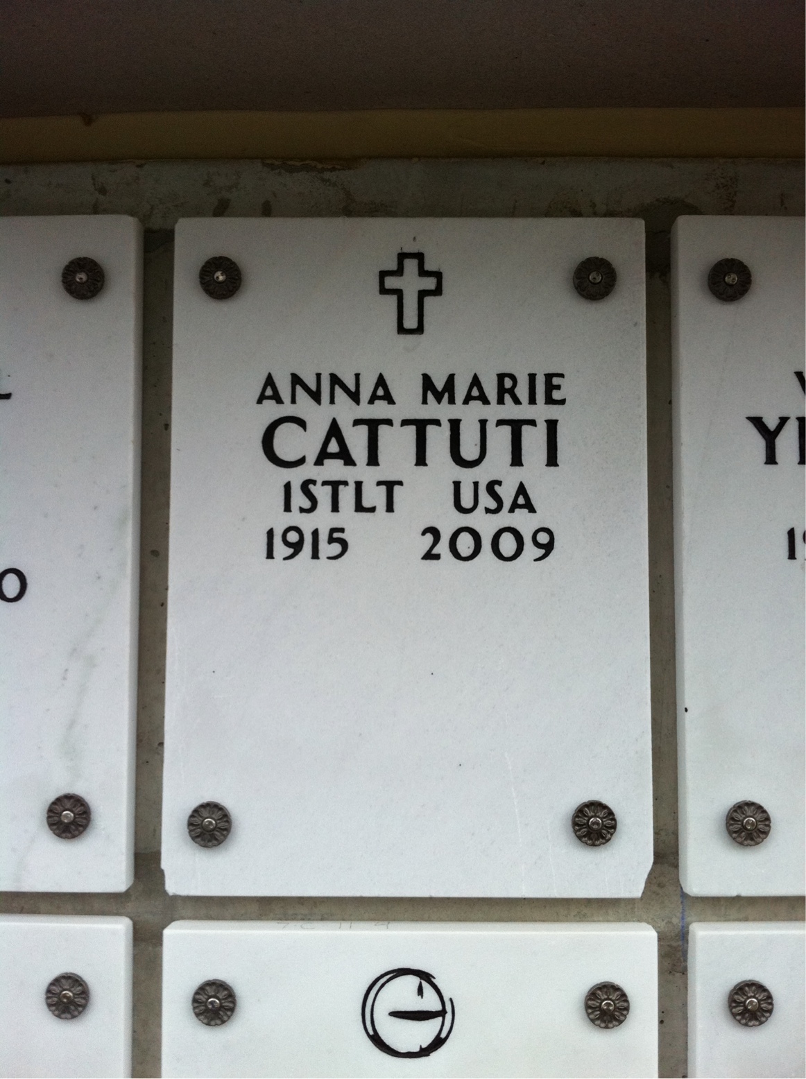 Anna M Cattuti