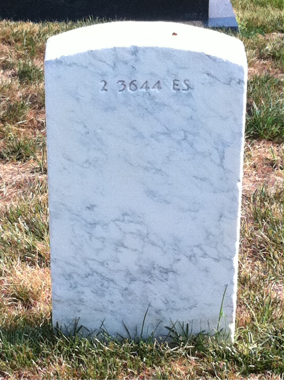 Back of headstone — Emily Molloy