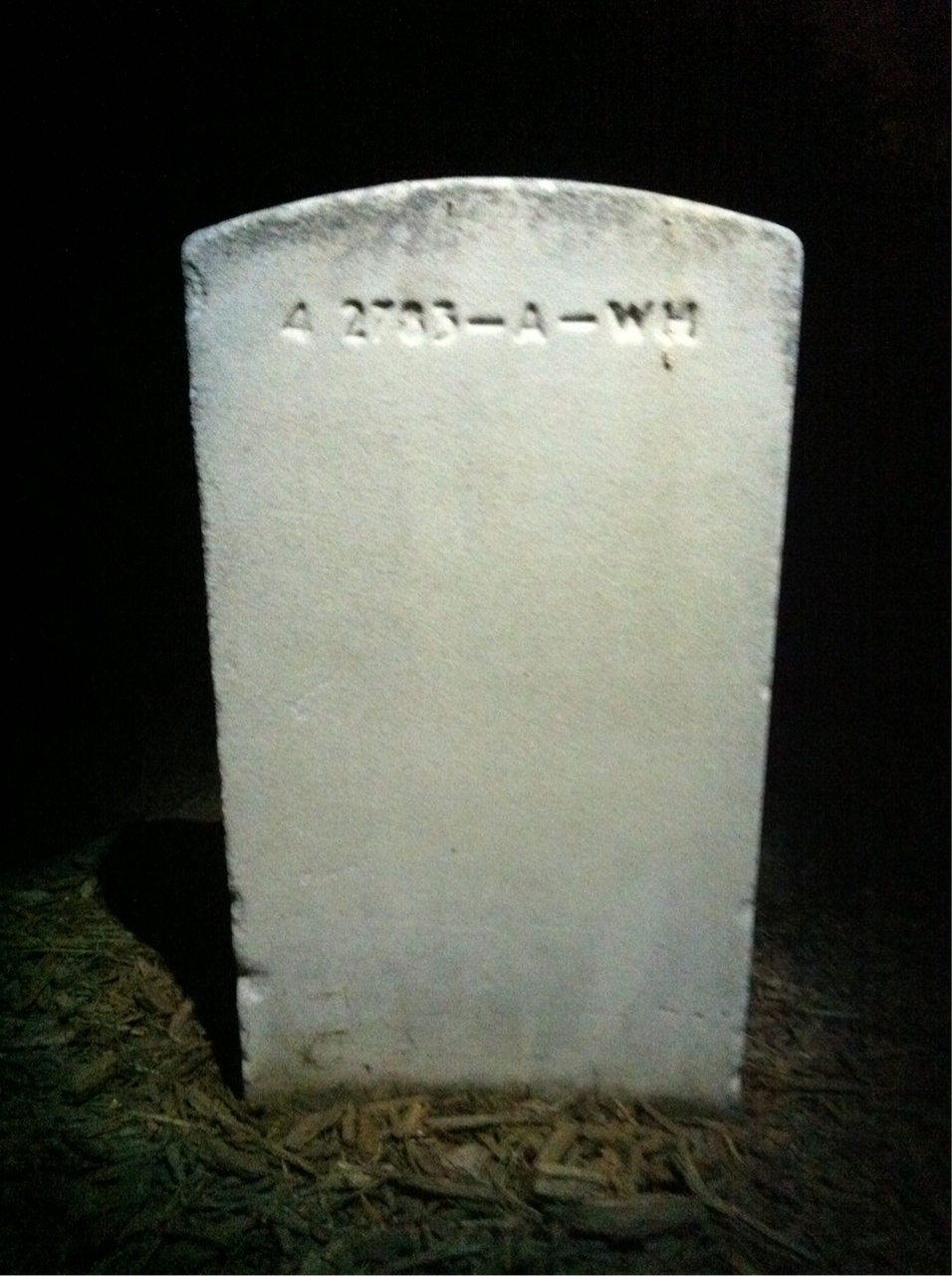 Back of headstone — Frances Adams