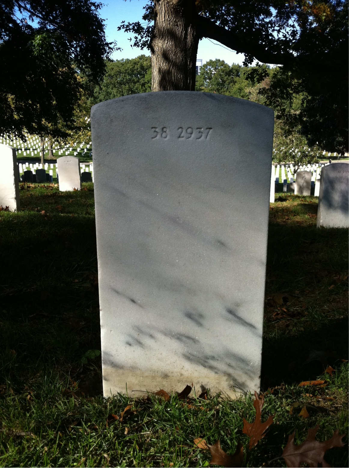 Back of headstone — Adolphus Asher