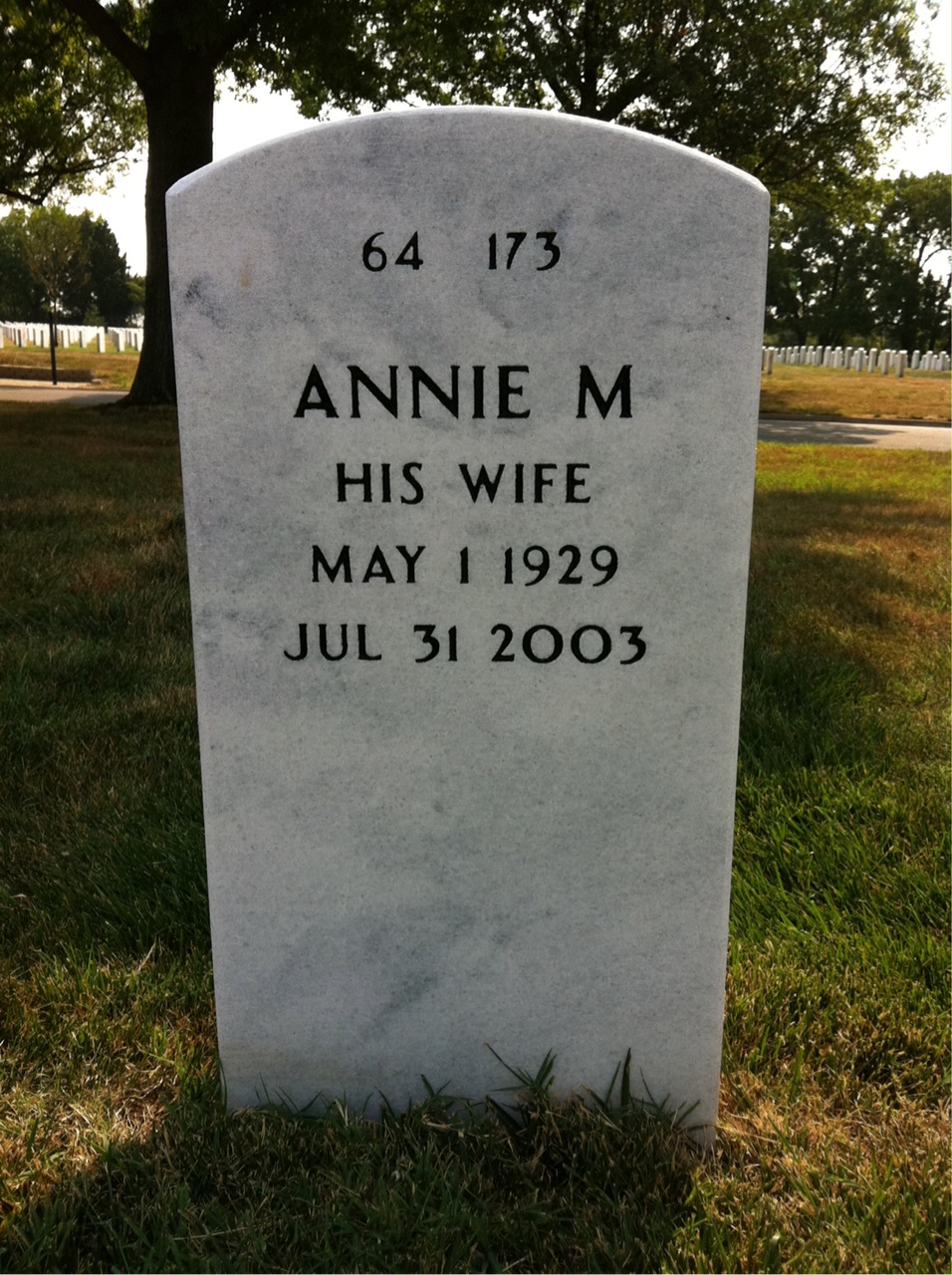 Back of headstone — John Lane